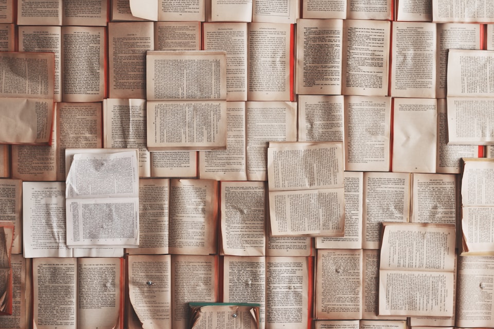 5 Must-Read Blogs Written by Established Writers